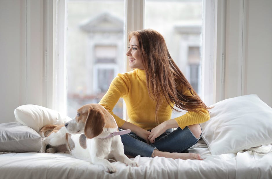 Pros and Cons of Allowing Pets in Your Los Angeles, CA Rental Property