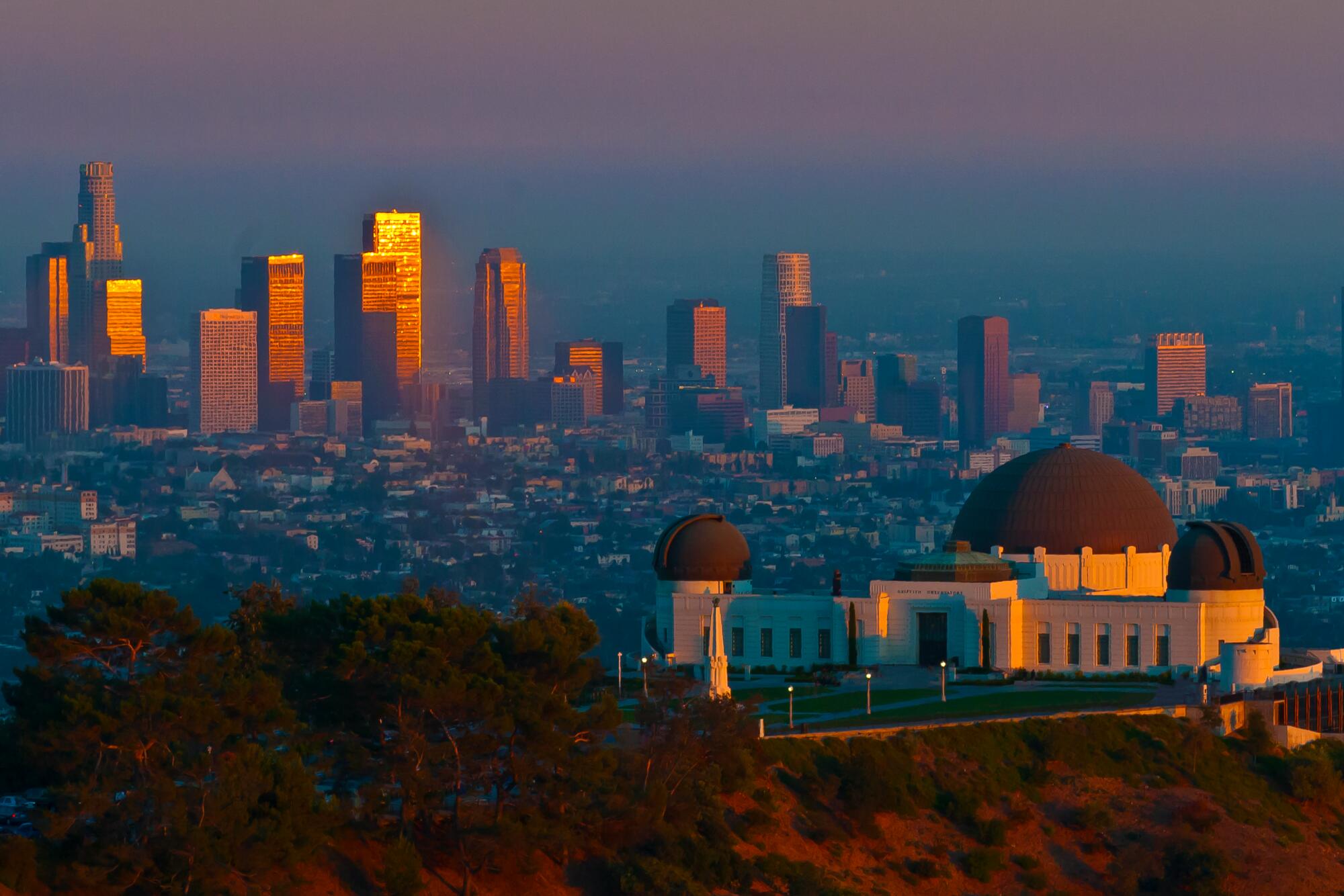 4 Real Estate Portfolio Management Tips for Los Angeles Landlords